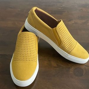 Steve Madden